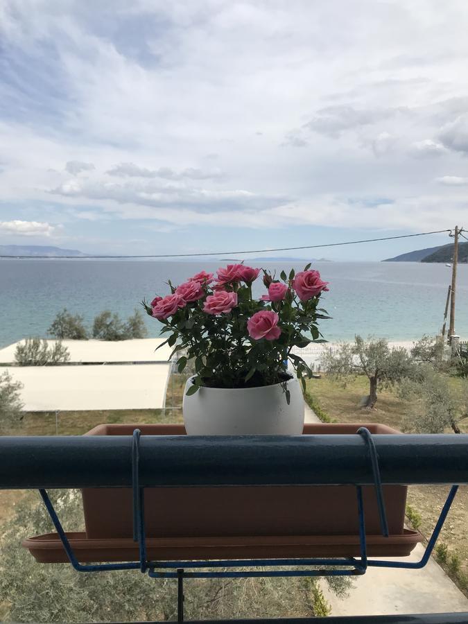 Amalfi Complex Apartment Kato Almiri Bagian luar foto